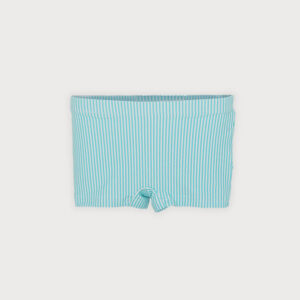 Boxer  PRIMAVERA