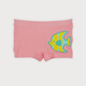 Boxer  PECES
