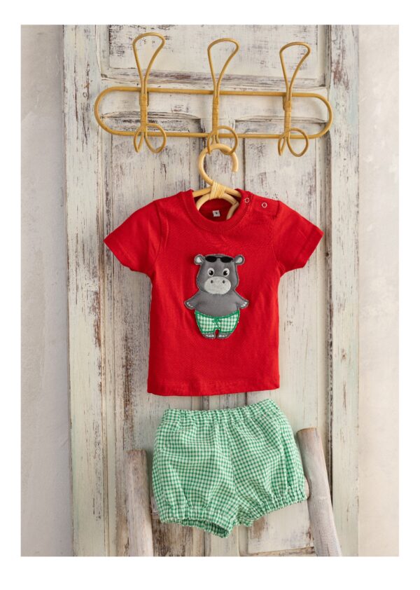 Conjunto ranita   Hipo
